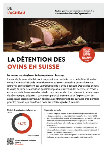 De l'agneau 