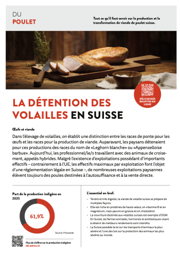 Du Poulet