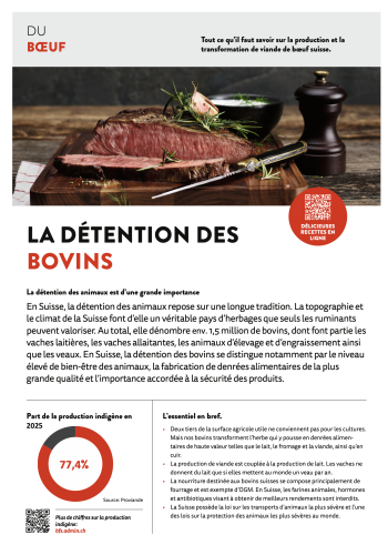 Du Bœuf