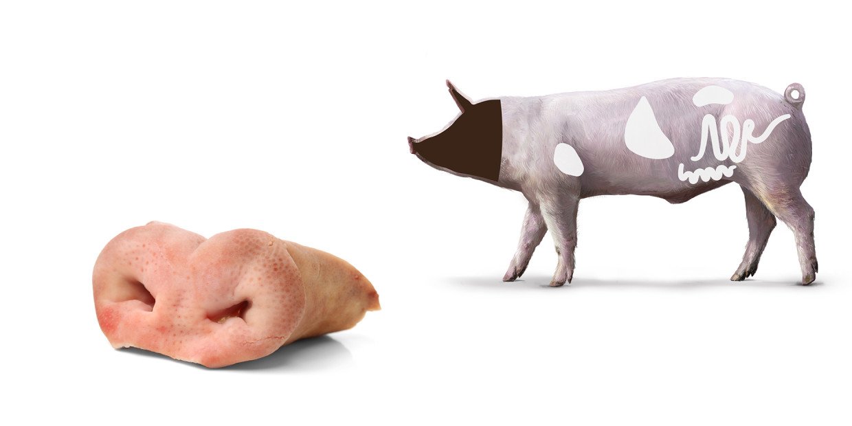 Fleischkunde Schwein Kopf Schnoerrli