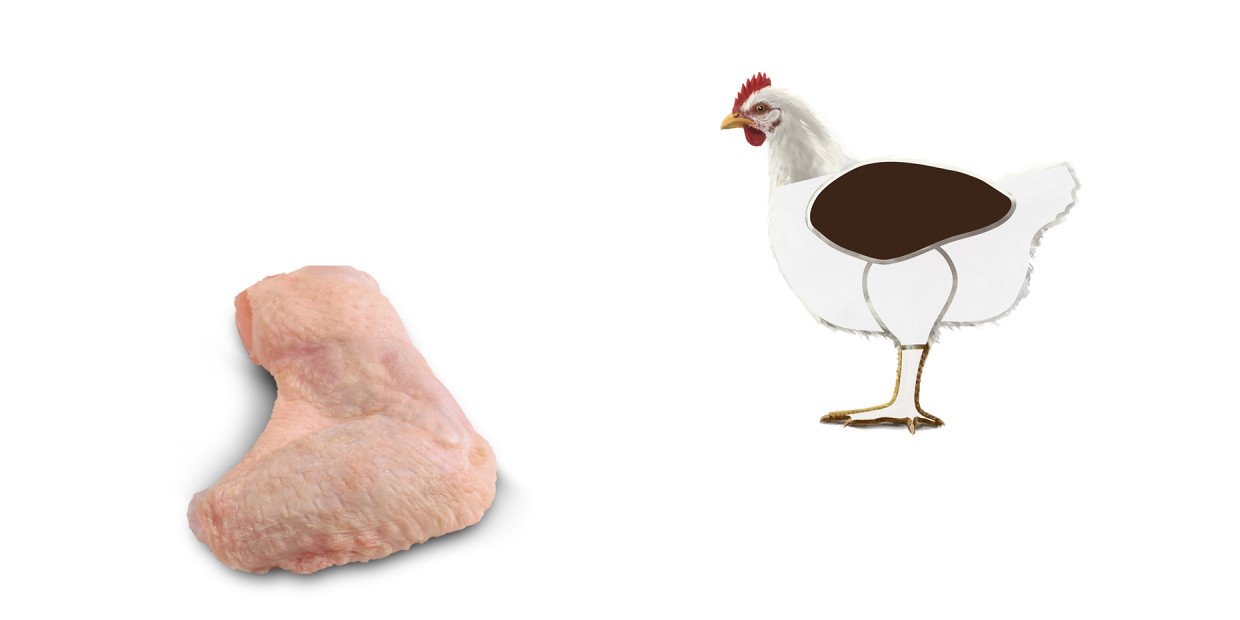 Fleischkunde Poulet Fluegel