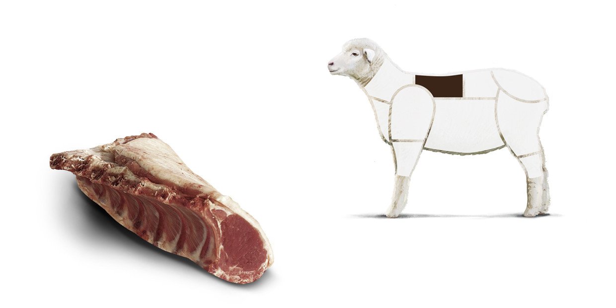 Fleischkunde Lamm Kotelettstueck