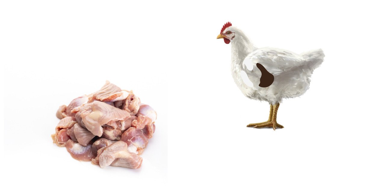 Fleischkunde Poulet Magen