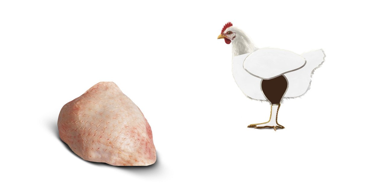 Fleischkunde Poulet Schenkel Oberschenkel