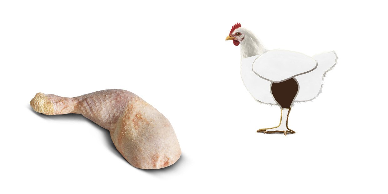 Fleischkunde Poulet Schenkel