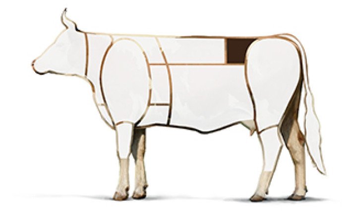 Illustration Rind Huft