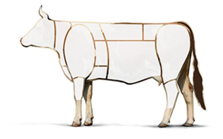 Illustration Rind Schwanz