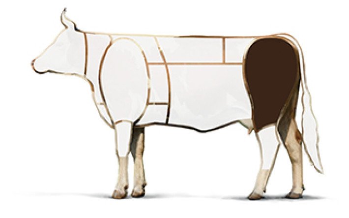 Illustration Rind Stotzen