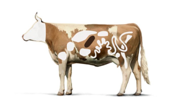 Rind-Innereien-Leber