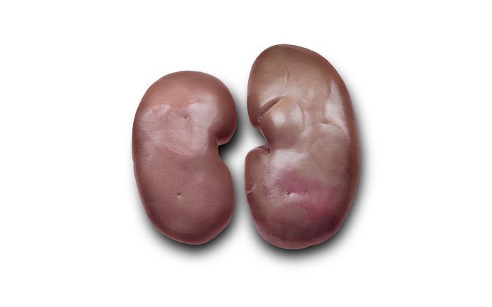 Fleischkunde Schwein Niere Niere