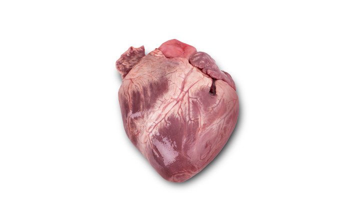 Fleischkunde Schwein Herz Herz