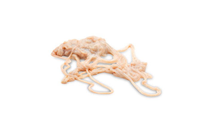 Fleischkunde Lamm Darm Saiten