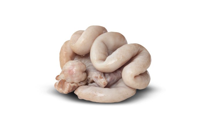 Fleischkunde Schwein Darm Darm