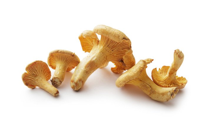 Pilze Eierschwaemme