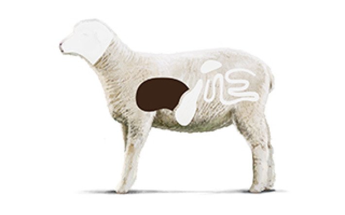 Fleischkunde Lamm Innereien 3 