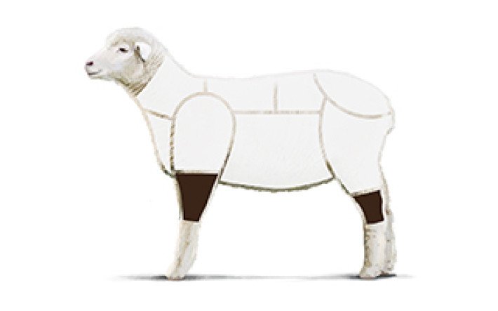 Fleischkunde Lamm Meatcuts 8