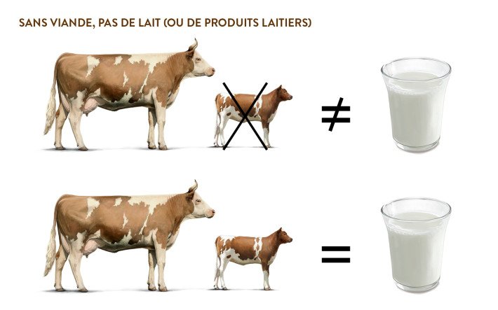Grafik Ohne Fleisch keine Milchprodukte