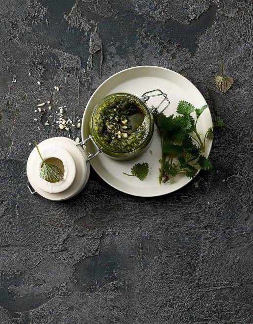 Kräuter Pesto